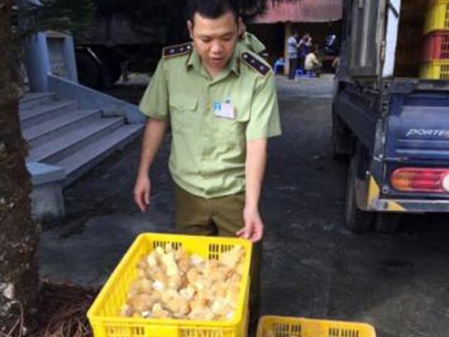 Chặn thực phẩm bẩn ở biên giới Lạng Sơn Chặn thực phẩm bẩn ở biên giới Lạng Sơn