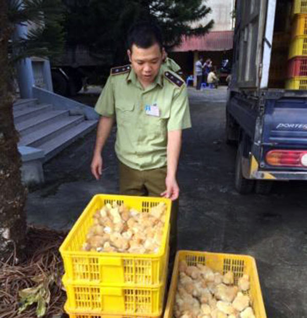 Chặn thực phẩm bẩn ở biên giới Lạng Sơn - 1