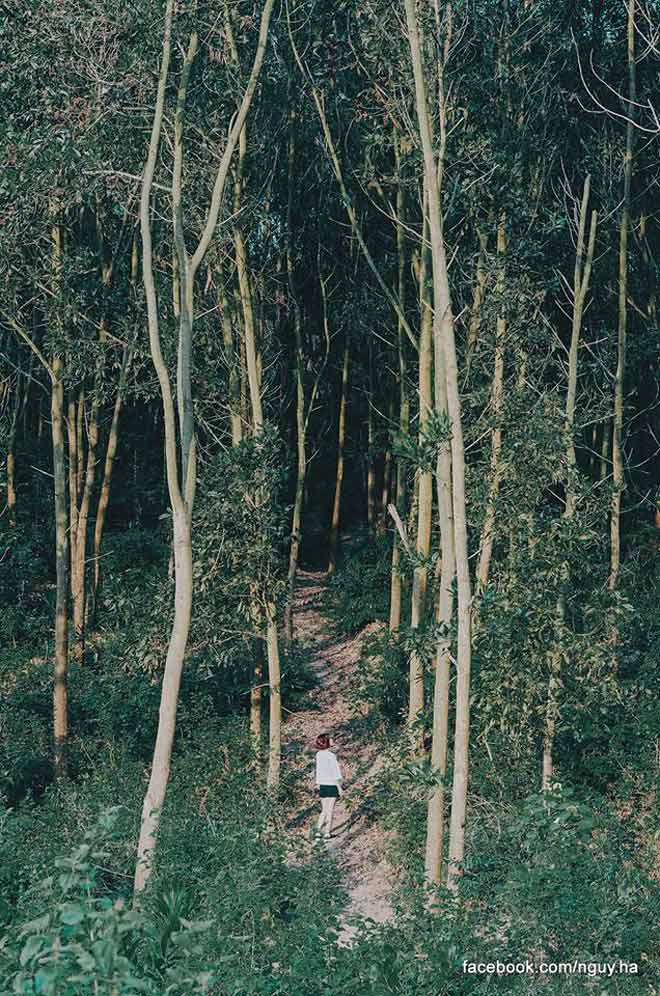 Nghỉ lễ 2/9, đưa nhau đi trốn ở &#34;hoang đảo&#34; xanh mướt chỉ cách Hà Nội 100km - 10