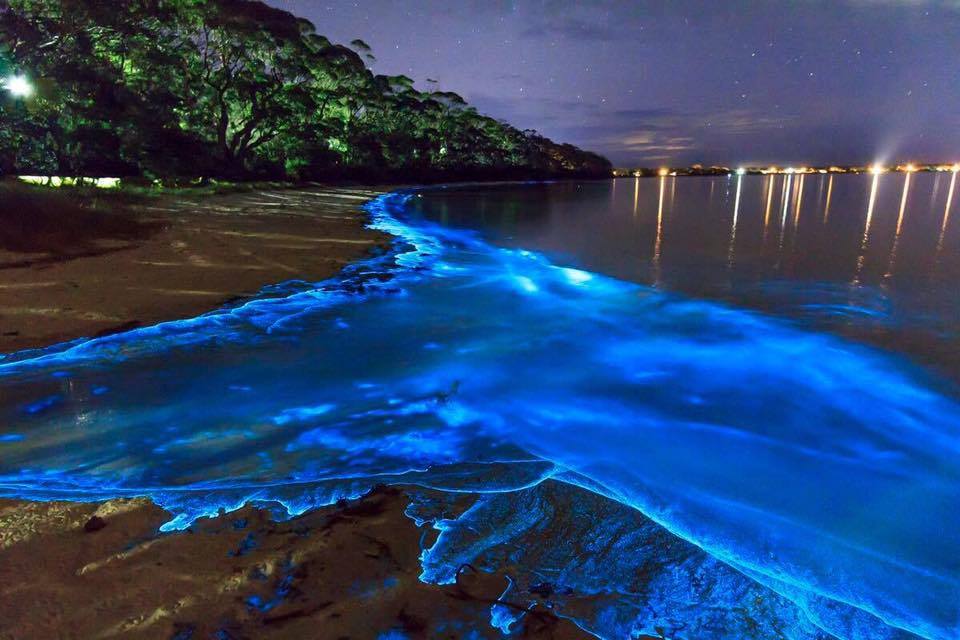 Tròn mắt trước bờ biển phát sáng ảo diệu tại quốc đảo Maldives - 1