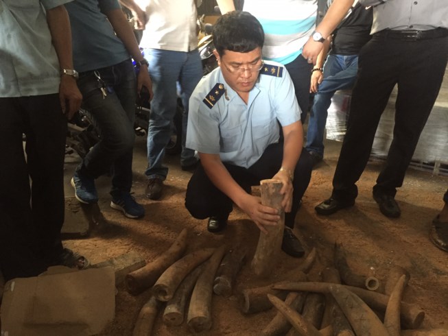 Ph&aacute;t hiện hơn 1.000 kg ng&agrave; voi n&uacute;p trong... th&ugrave;ng phuy - 1