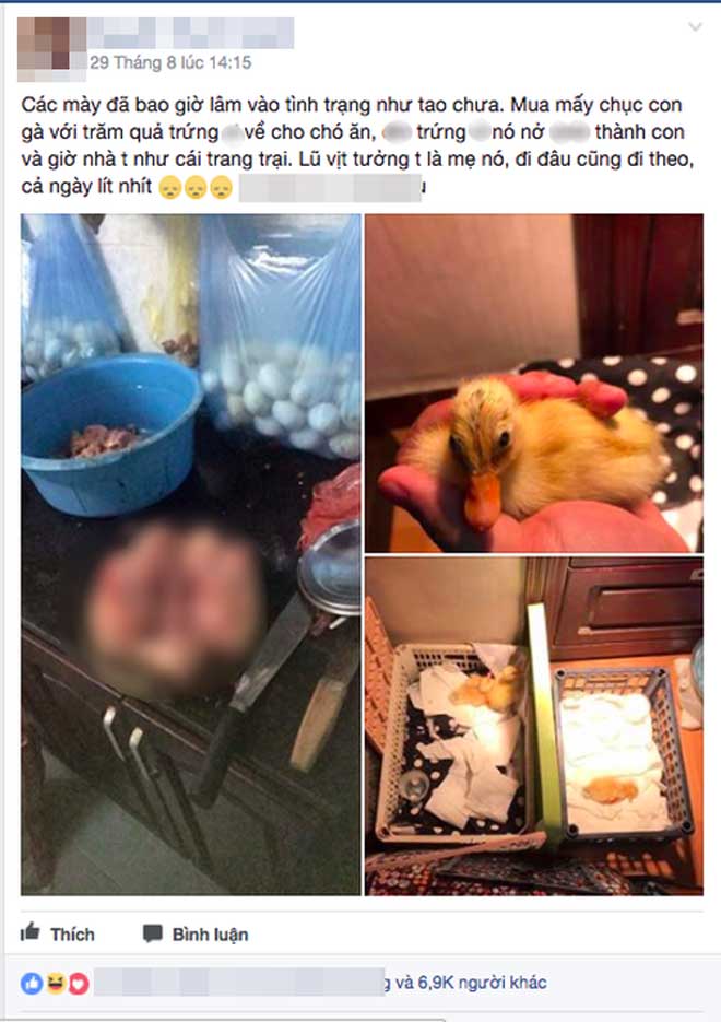 Cười rơi răng với 10 status "HOT" nhất tuần qua - 3