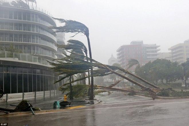 Siêu bão &#34;quái vật&#34; Irma đổ bộ vào Mỹ, sóng cao 5 mét tạt bờ - 3