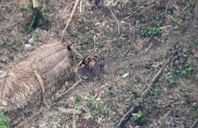 10 thổ dân nguyên thủy Amazon đi lạc bị giết hại dã man - 2