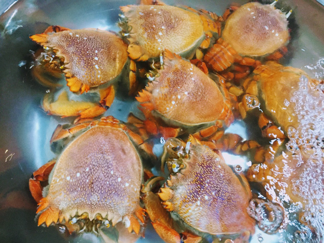 Cô nàng độc thân chia sẻ kinh nghiệm du lịch Lý Sơn tự túc chỉ với 3 triệu đồng - ảnh 4 Cô nàng độc thân chia sẻ kinh nghiệm du lịch Lý Sơn tự túc chỉ với 3 triệu đồng - ảnh 4