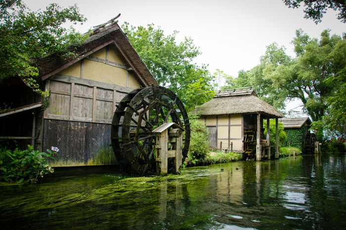 Có một ngôi làng xanh mát, trong lành và bình yên đến lạ ở Nhật Bản - 3