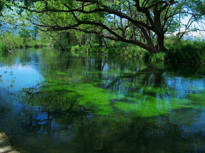Có một ngôi làng xanh mát, trong lành và bình yên đến lạ ở Nhật Bản - 8