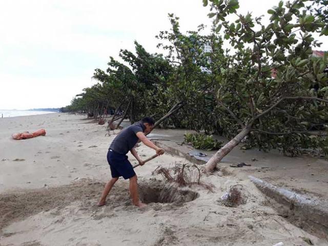 Sau bão số 10: Cát phủ kín khu du lịch Cửa Lò, đê kè ven biển Quất Lâm tan nát