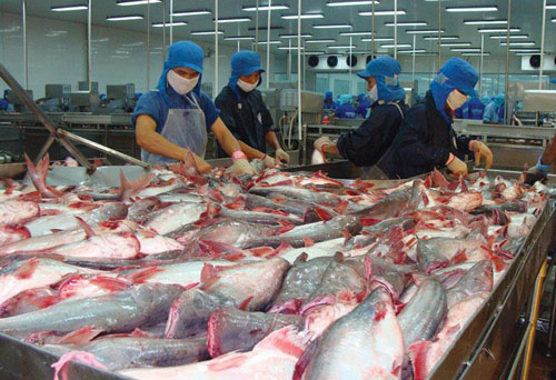 30 năm phát triển, xuất khẩu 2 tỷ USD, cá tra Việt vẫn “vô danh” - 1