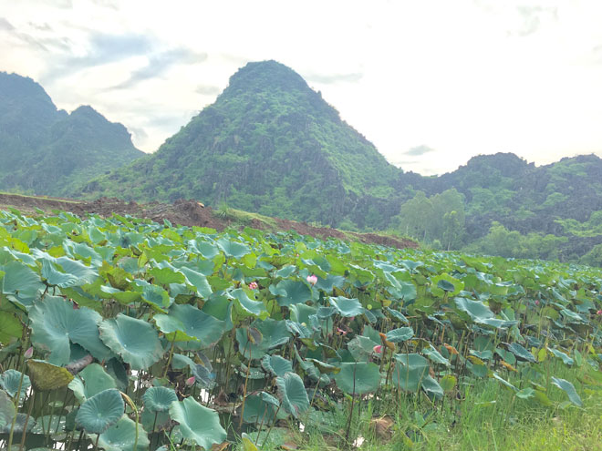 Rủ nhau về &#34;Tuyệt Tình Cốc&#34; Ninh Bình để có shoot ảnh đẹp như phim kiếm hiệp - 1