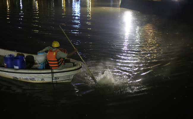Chùm ảnh: Trắng đêm vớt cá chết ở Hồ Tây - 18