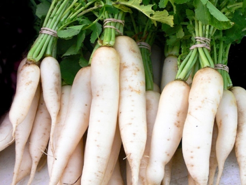 5 thực phẩm kỵ ăn với củ cải trắng vì dễ sinh bệnh - 1
