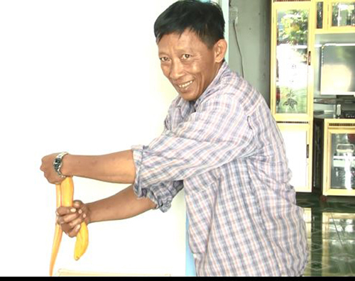 Lão nông miền Tây bắt được lươn vàng, 50 triệu chưa bán - 2