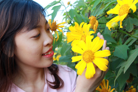 Lâm Đồng vàng óng sắc hoa dã quỳ dưới nắng đầu đông - 10