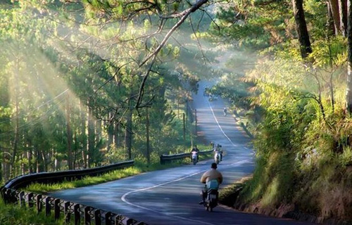 Đi tìm mùa đông của miền Nam - 4
