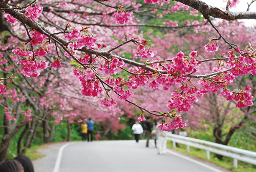 Say đắm vẻ đẹp bí ẩn – huyền bí của hòn đảo Okinawa Nhật Bản - 4