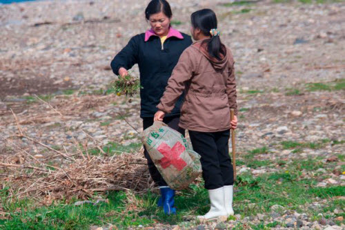 Ảnh &#34;độc&#34; về cuộc sống tại một làng hẻo lánh ở Triều Tiên - 13