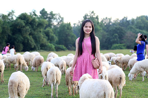 Đồng cừu ở Bà Rịa - Vũng Tàu đẹp mơ màng giữa núi rừng - 4