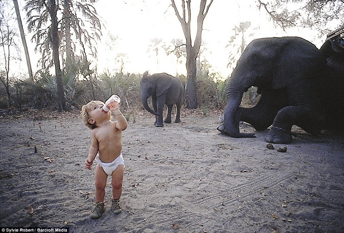 Bé gái Tây 10 năm ở châu Phi cùng báo đốm, voi và rắn - 2