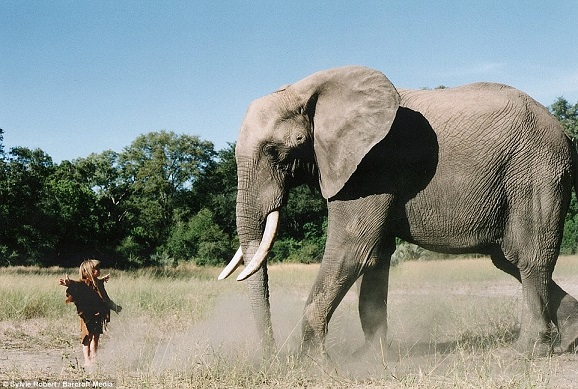 Bé gái Tây 10 năm ở châu Phi cùng báo đốm, voi và rắn - 7