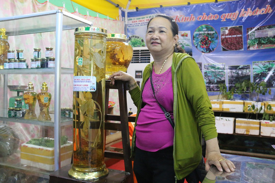 Sâm Ngọc Linh gần 100 triệu/kg vẫn đắt như tôm tươi - 7