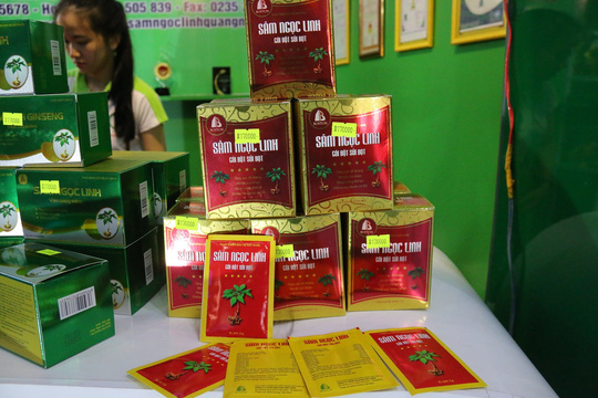 Sâm Ngọc Linh gần 100 triệu/kg vẫn đắt như tôm tươi - 8