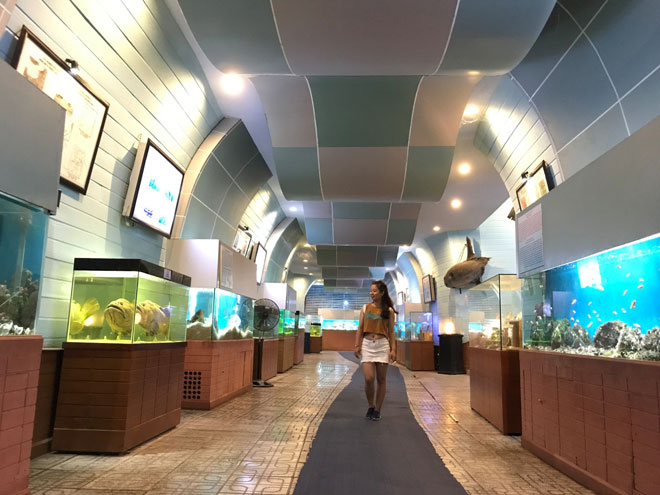 Viện Hải dương học Nha Trang – Kho tàng sinh vật biển lớn nhất Việt Nam - 10