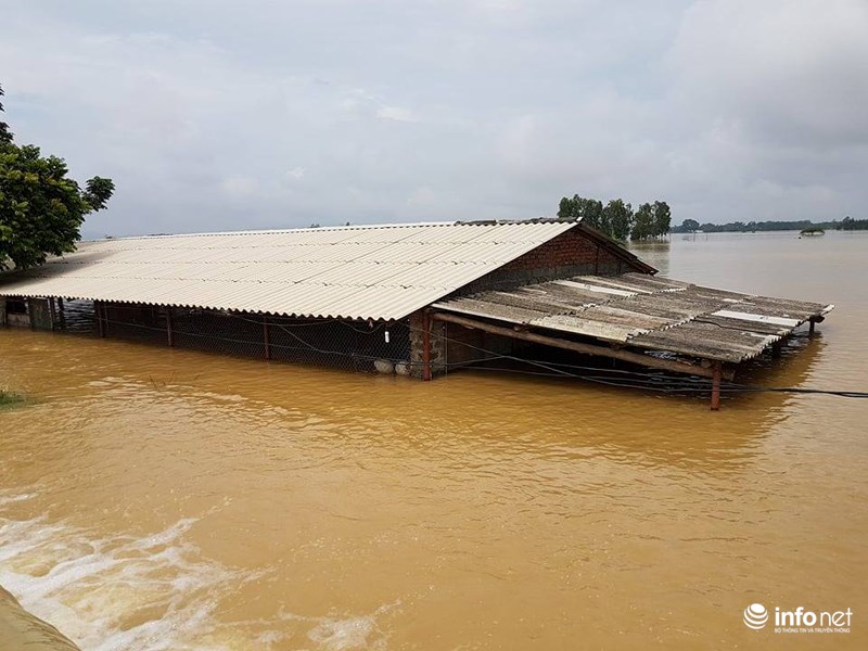Hà Nội: Vỡ đê sông Bùi 2, hàng trăm nhà dân chìm trong biển nước Hà Nội: Vỡ đê sông Bùi 2, hàng trăm nhà dân chìm trong biển nước