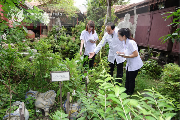 Thầy thuốc Nguyễn Thanh Tuấn và hành trình phát triển cùng Đông y - 2