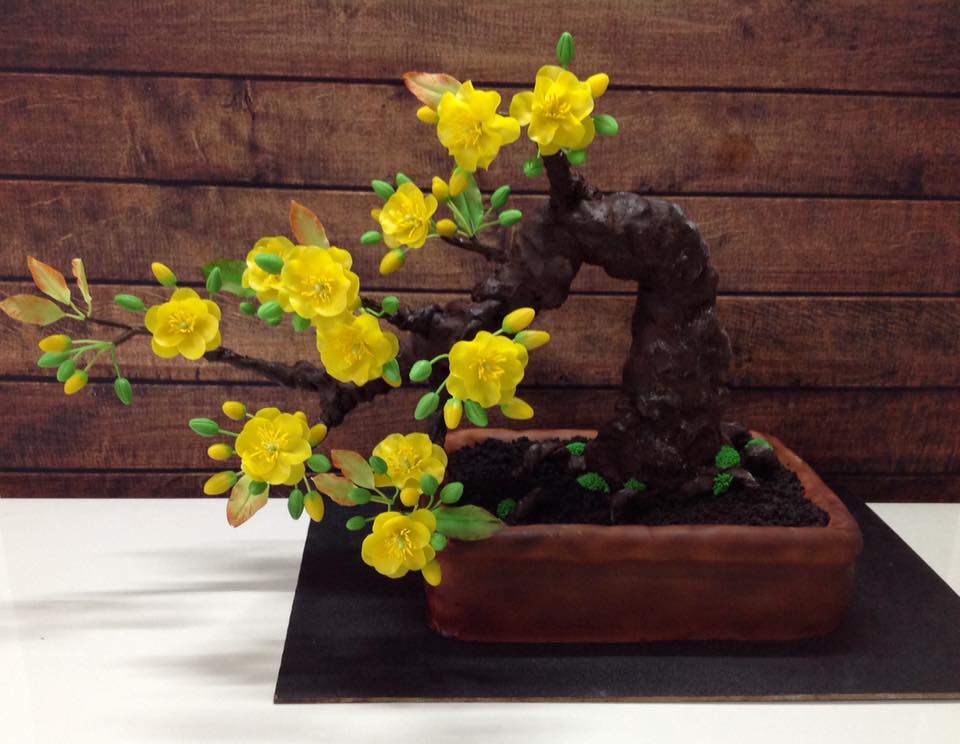 Bạn sẽ &#34;sốc&#34; khi biết cây mai bonsai này thực sự là gì - 1