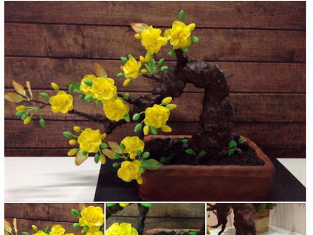 Cách làm lòng heo &#34;bá đạo&#34; và cây mai bonsai nóng nhất cộng đồng mạng tuần qua