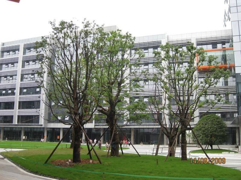 Được gì khi làm nhân viên trong tập đoàn Alibaba của Jack Ma? - 4