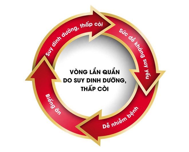 Làm sao để tăng sức đề kháng cho trẻ suy dinh dưỡng, thấp còi? - 1