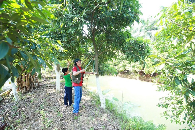 Giang Còi tiết lộ lý do lui về sống trong mảnh vườn 10.000 mét ở quê - 8