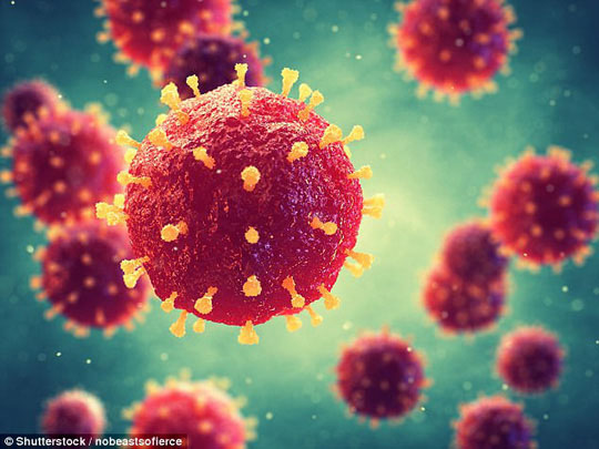 Tái xuất virus sốt xuất huyết hiếm, khủng khiếp như Ebola - 1