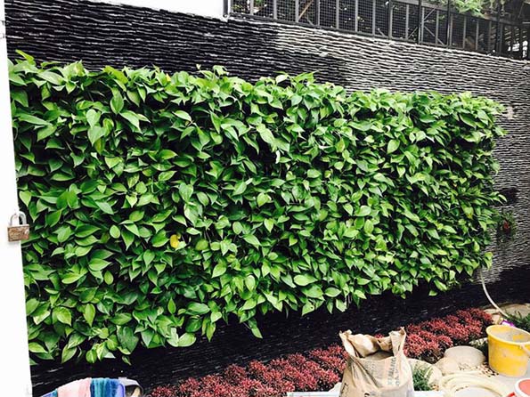 Nhà đẹp của sao: Căn nhà tiền tỷ tự thiết kế của Hồ Quang Hiếu - 7