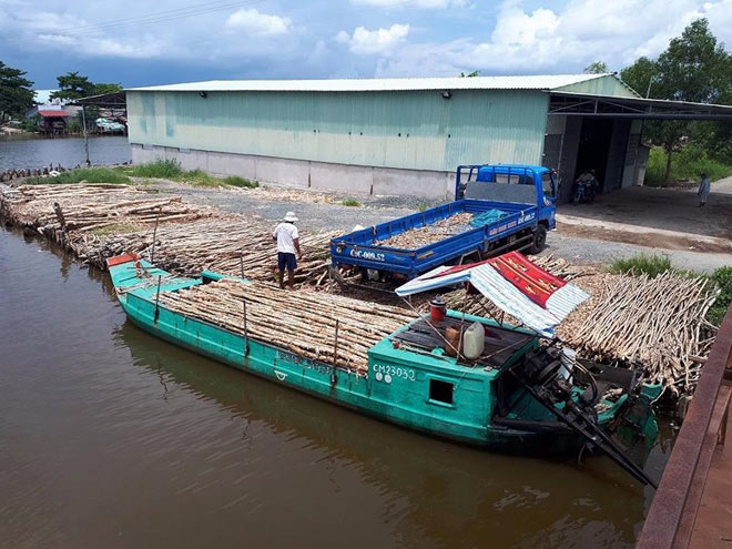 Trưởng phòng thanh tra phòng chống tham nhũng Cà Mau bị bắt Trưởng phòng thanh tra phòng chống tham nhũng Cà Mau bị bắt