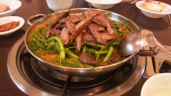 Từ chó ngao Tây Tạng 30 tỉ đồng tới món ăn trong nồi lẩu - 4