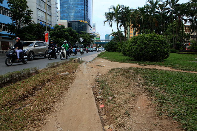 Ngắm con đường đẹp nhất Việt Nam trước ngày bị xén thảm cỏ - 7