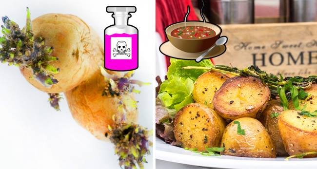 Top thực phẩm tưởng an toàn nhưng lại rất độc hại mà bạn vẫn ăn hằng ngày - 3