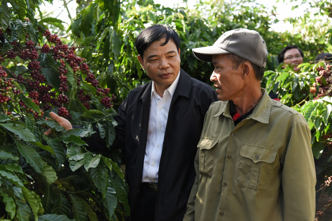 Tầm nhìn: “Đưa Việt Nam trở thành tham chiếu cho cà phê Robusta thế giới” - 2