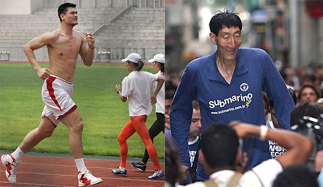 Ngỡ ngàng: Yao Ming 2m29 vẫn chưa khủng nhất Trung Quốc vì "sếu vườn" này Ngỡ ngàng: Yao Ming 2m29 vẫn chưa khủng nhất Trung Quốc vì "sếu vườn" này