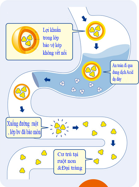 Người Nhật tiết lộ cách cải thiện rối loạn tiêu hóa do uống rượu bia - 3
