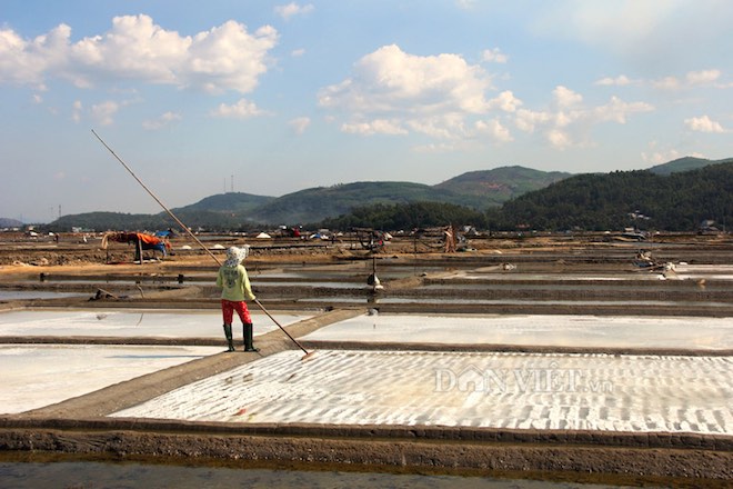 Top 10 địa danh ở Quảng Ngãi khiến du khách đến là không muốn về - 6