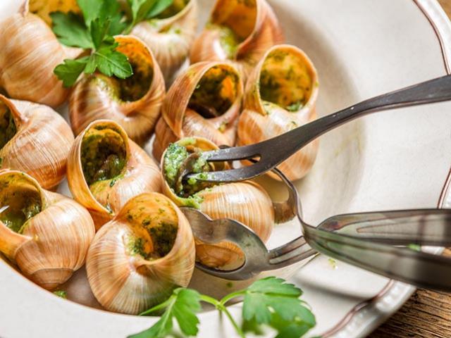 Loài ốc đáng sợ ở nước ta lại trở thành món ăn huyền thoại của ẩm thực Pháp