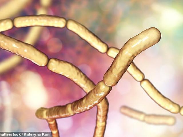 Vi khuẩn hóa "thây ma" đe dọa nhiều bệnh nhân