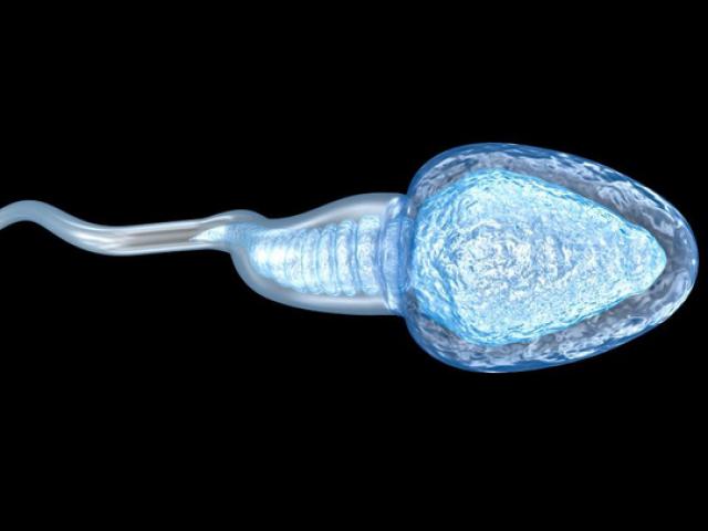 Lợi ích không ngờ của tinh dịch