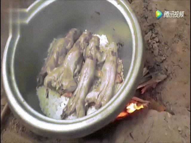 Video: Món cơm hấp thịt chuột của người Ấn Độ khiến thực khách vừa sợ vừa thèm
