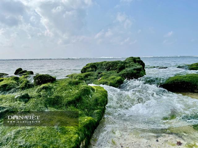 Du lịch sau Tết: Mê hoặc rêu xanh nơi sóng tự tình với đá ở đảo Lý Sơn - 1