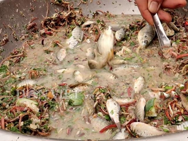 Món cá nhảy tanh tách trong miệng, người nhìn thôi đã sợ, người ăn hoài không chán Món cá nhảy tanh tách trong miệng, người nhìn thôi đã sợ, người ăn hoài không chán